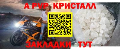 мет Кингисепп