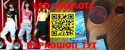 мет Кингисепп