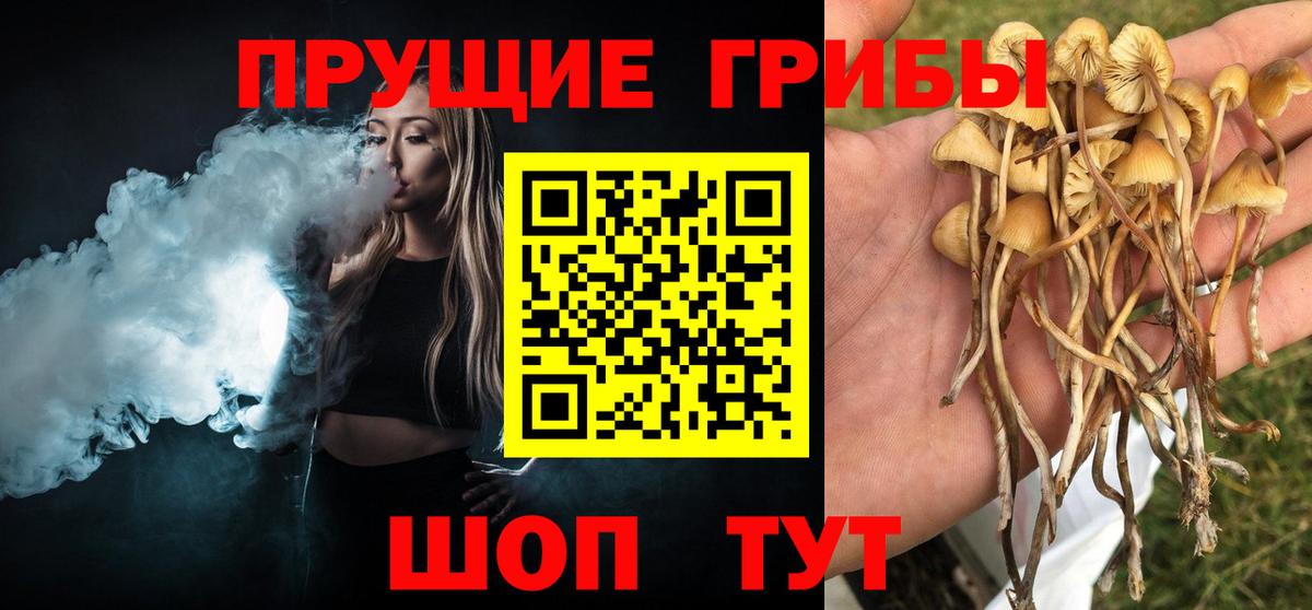 Галлюциногенные грибы мухоморы  Вход с VPN  Псилоцибиновые грибы Psilocybe  Красноуфимск 